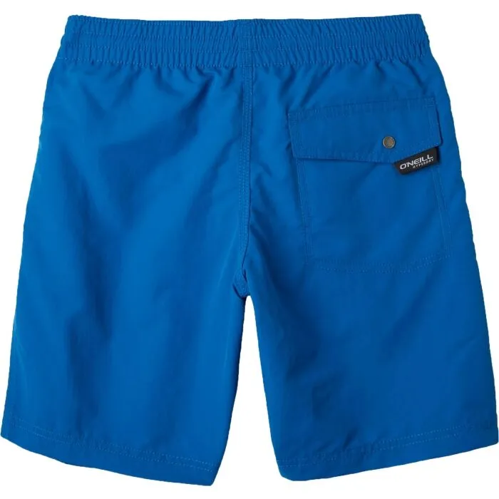 O\u0027Neill VERT SHORTS