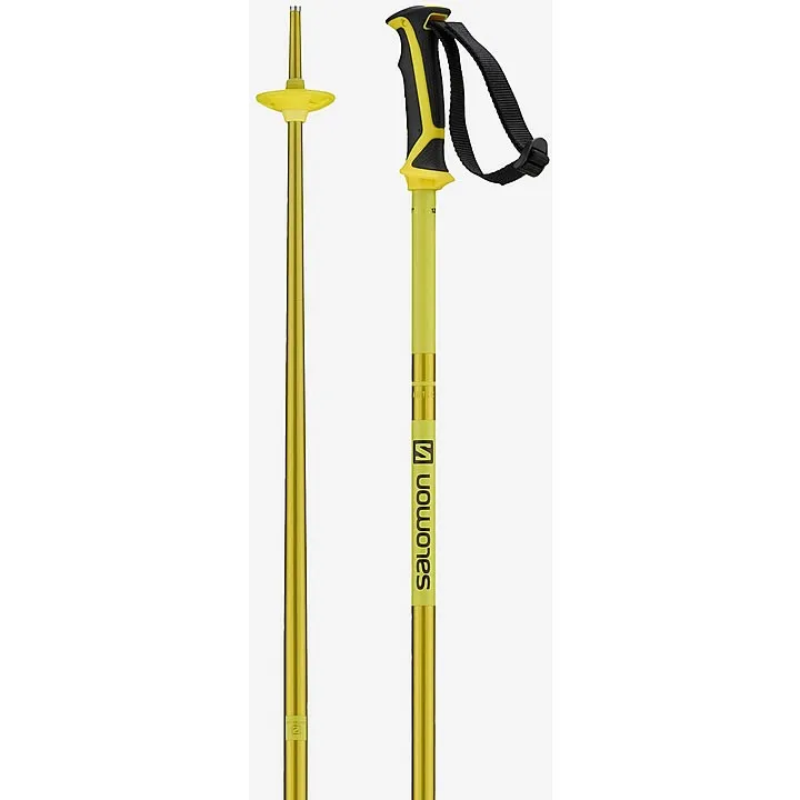 Salomon Arctic Alpine Ski Poles 2022