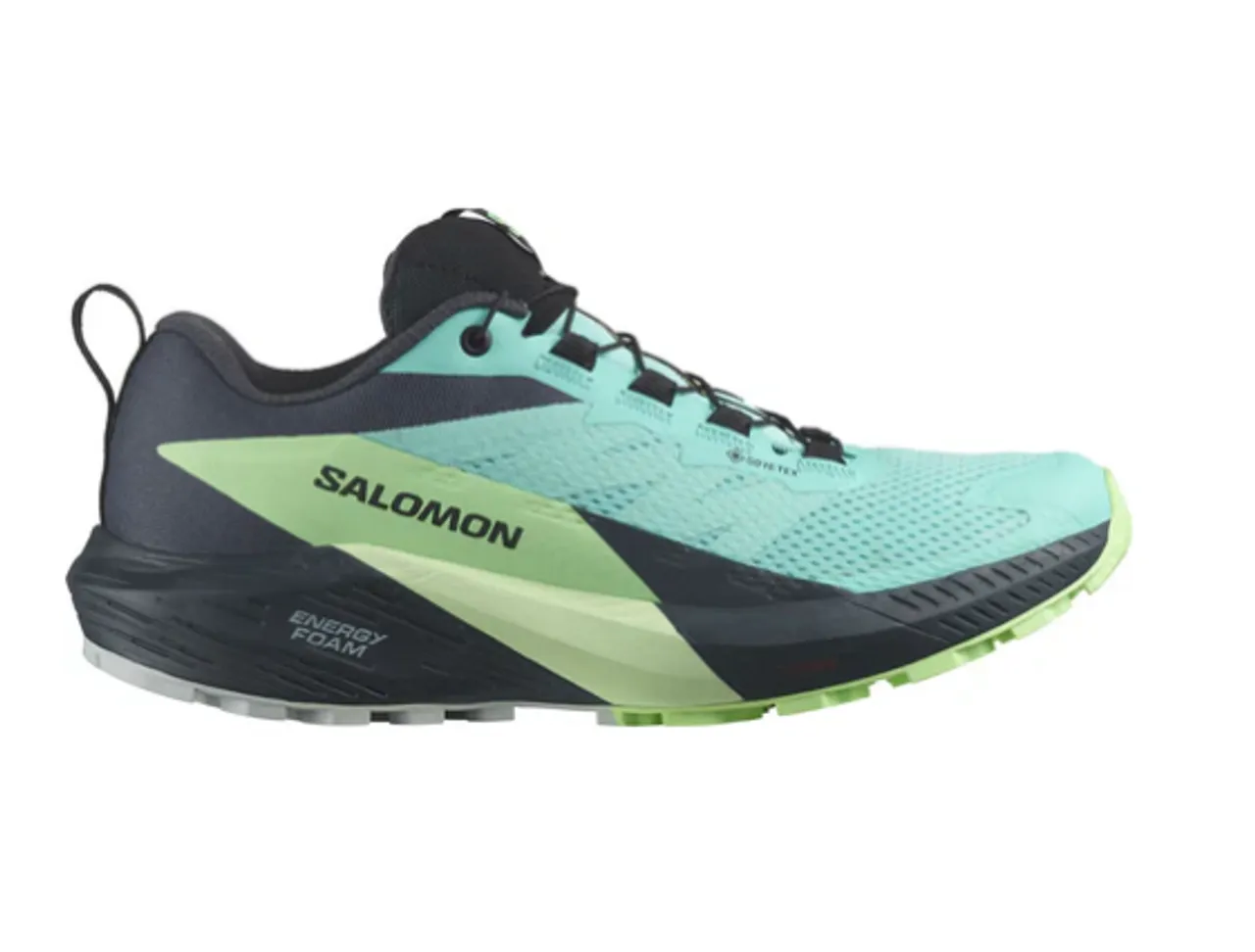 Salomon Women's Sense Ride 5 GTX 