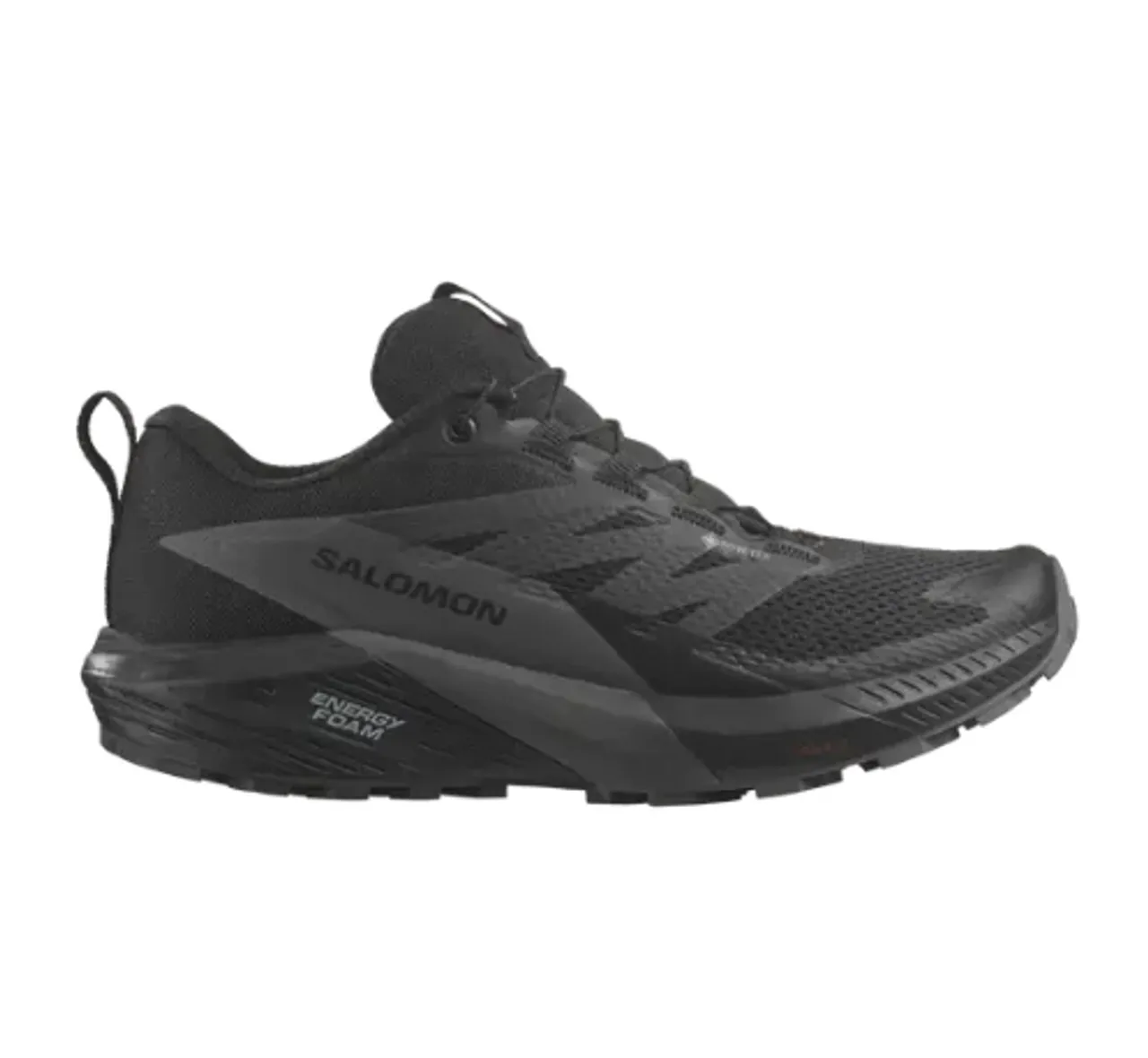 Salomon Women's Sense Ride 5 GTX 